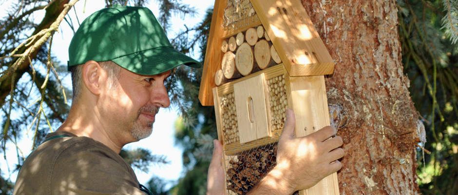 Insektenhotel aufhängen