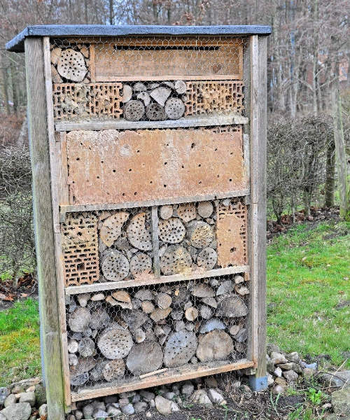 Insektenhotel bauen