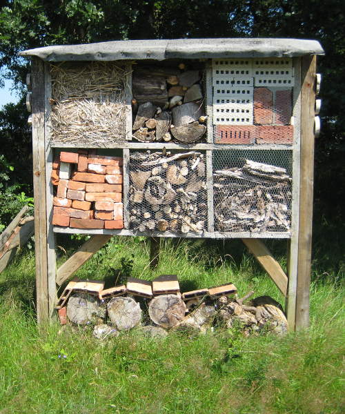 Insektenhotel bauen